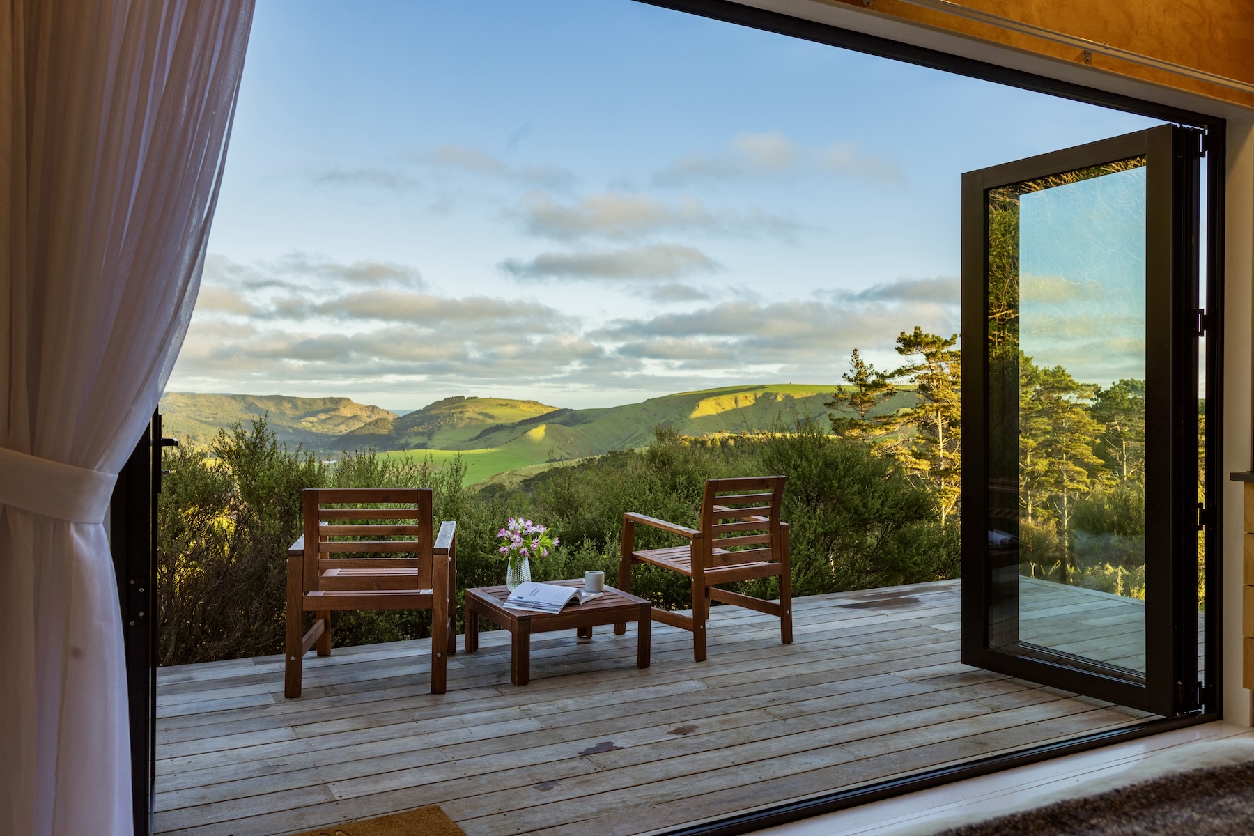 kauri valley views auckland