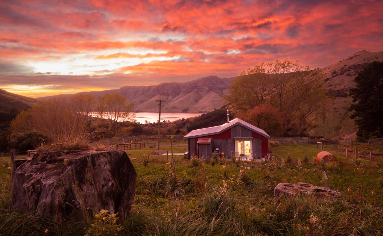wild-cattle-hill-canopy-camping-escapes